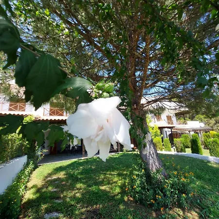 Elani Private Retreat - Maria Garden Escape